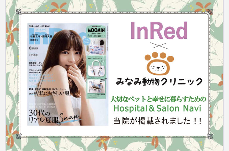 雑誌