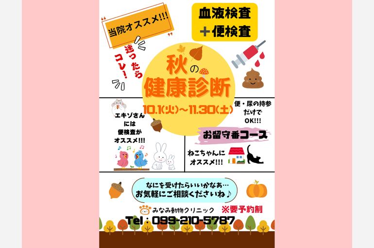 ハガキ2024健診