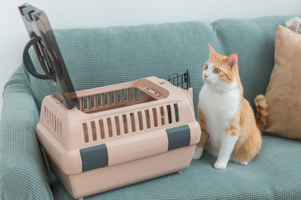 画像1829