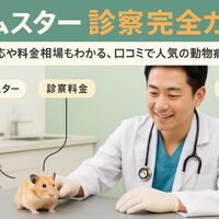 画像2503