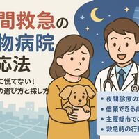 画像2518