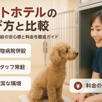 画像2567