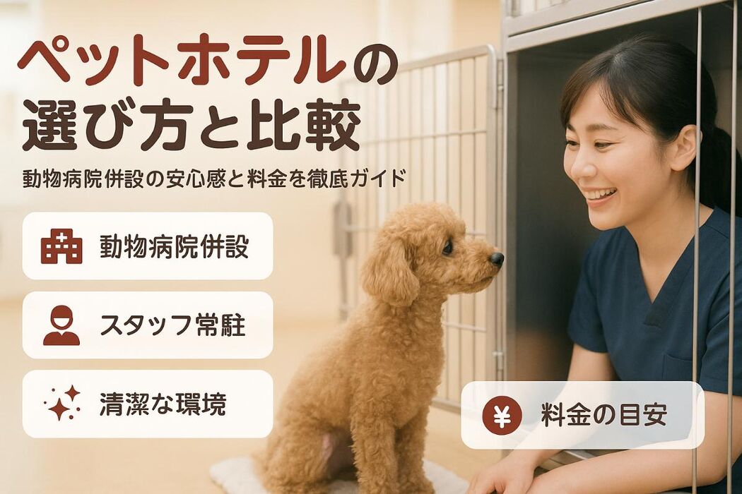 画像2567
