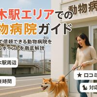 画像2629