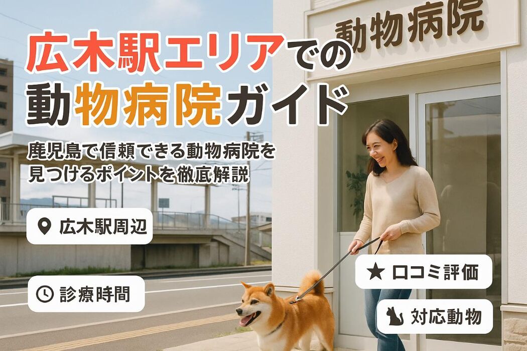画像2629