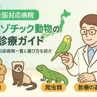画像2710