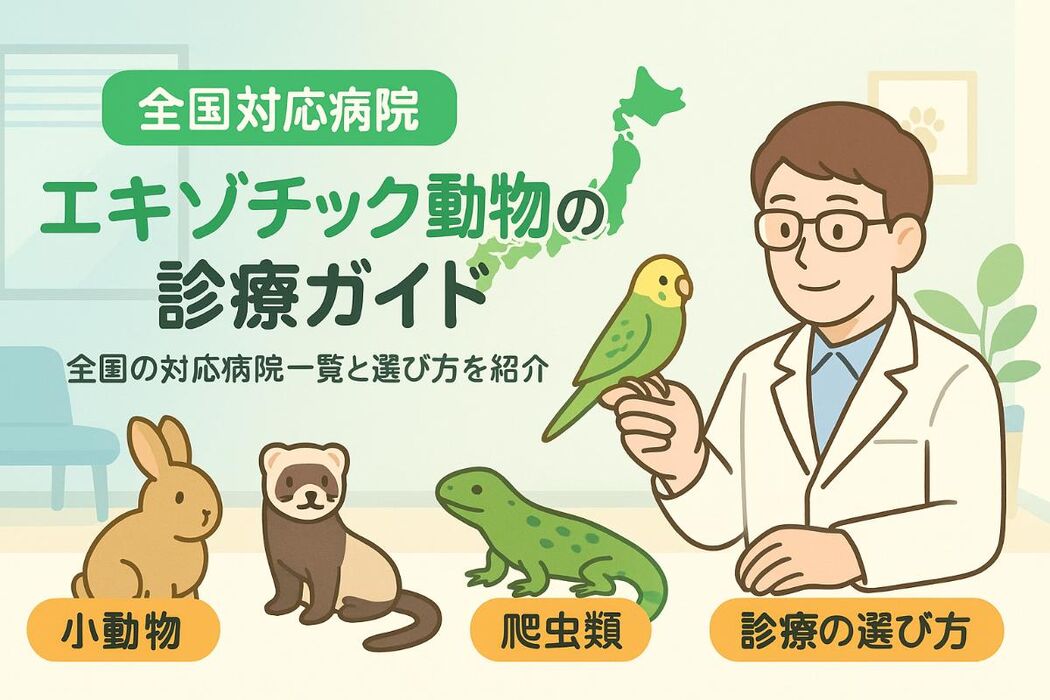 画像2710