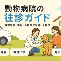画像2741