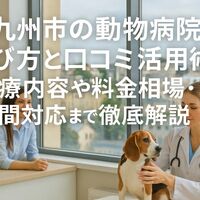 画像2790