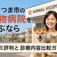 画像2887