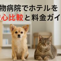 画像2894