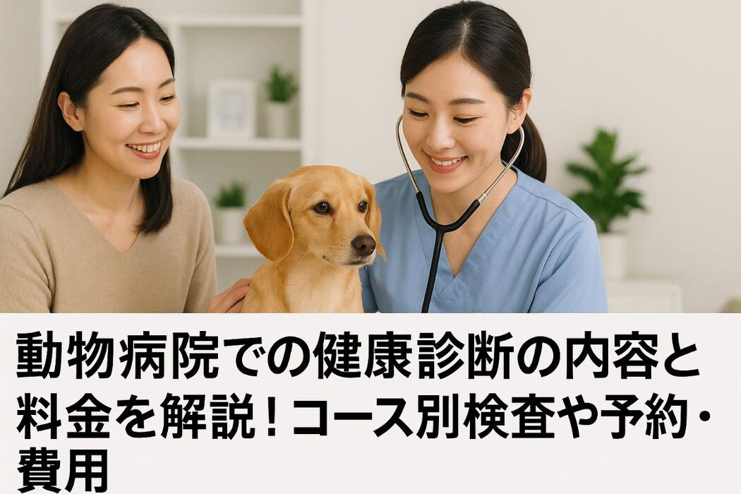 画像2914