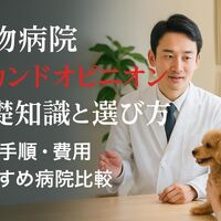 画像2930