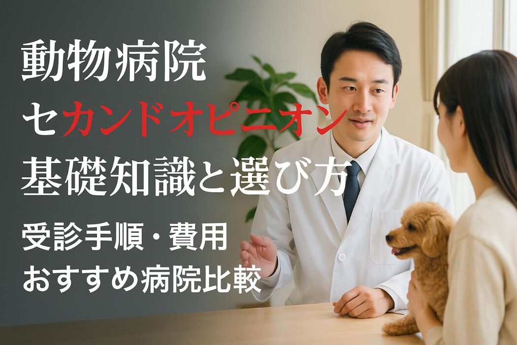 画像2930
