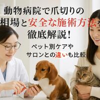 画像3036