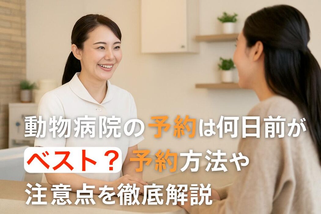 画像3068