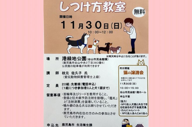 しつけ教室