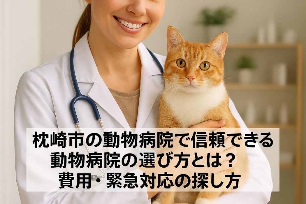 画像3141