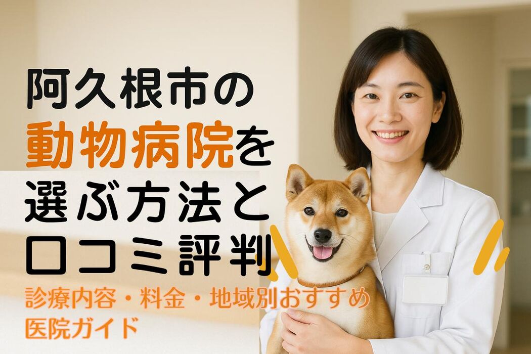 画像3165