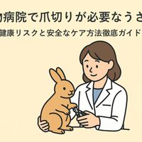 画像3214