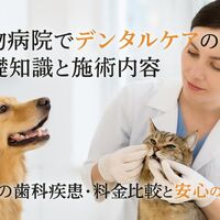 画像3229