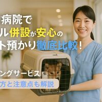 画像3324
