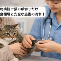 画像3339