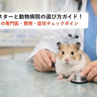 画像3380
