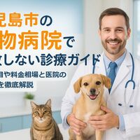 画像3405