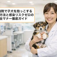 画像3417