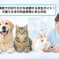 画像3442