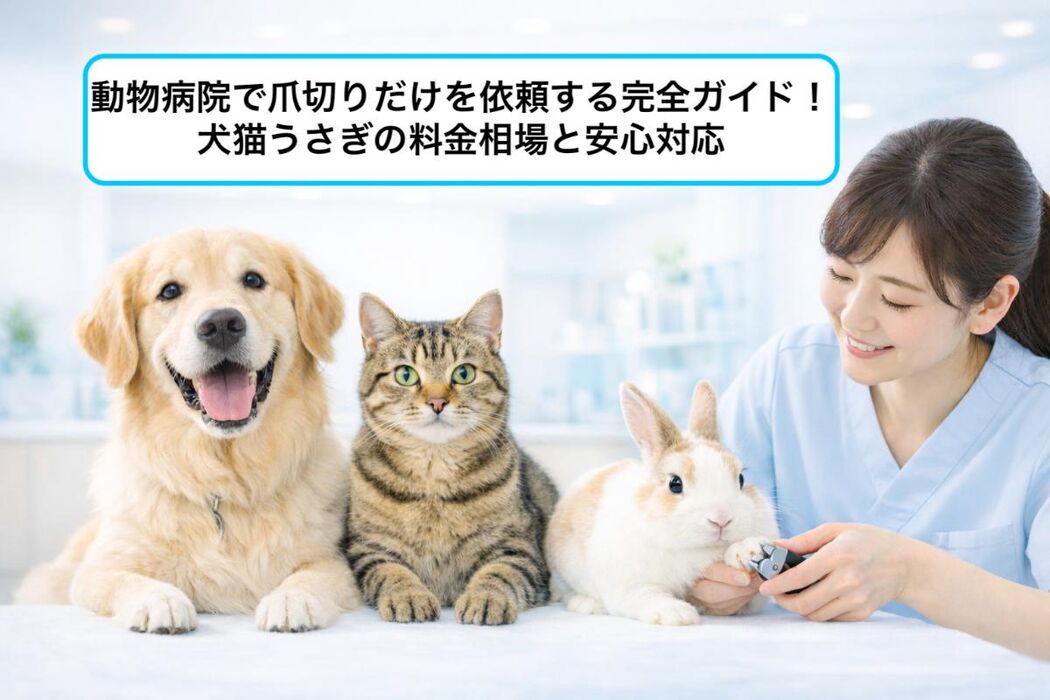 画像3442