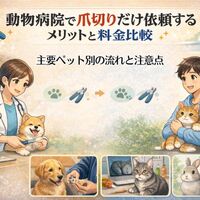 画像3454