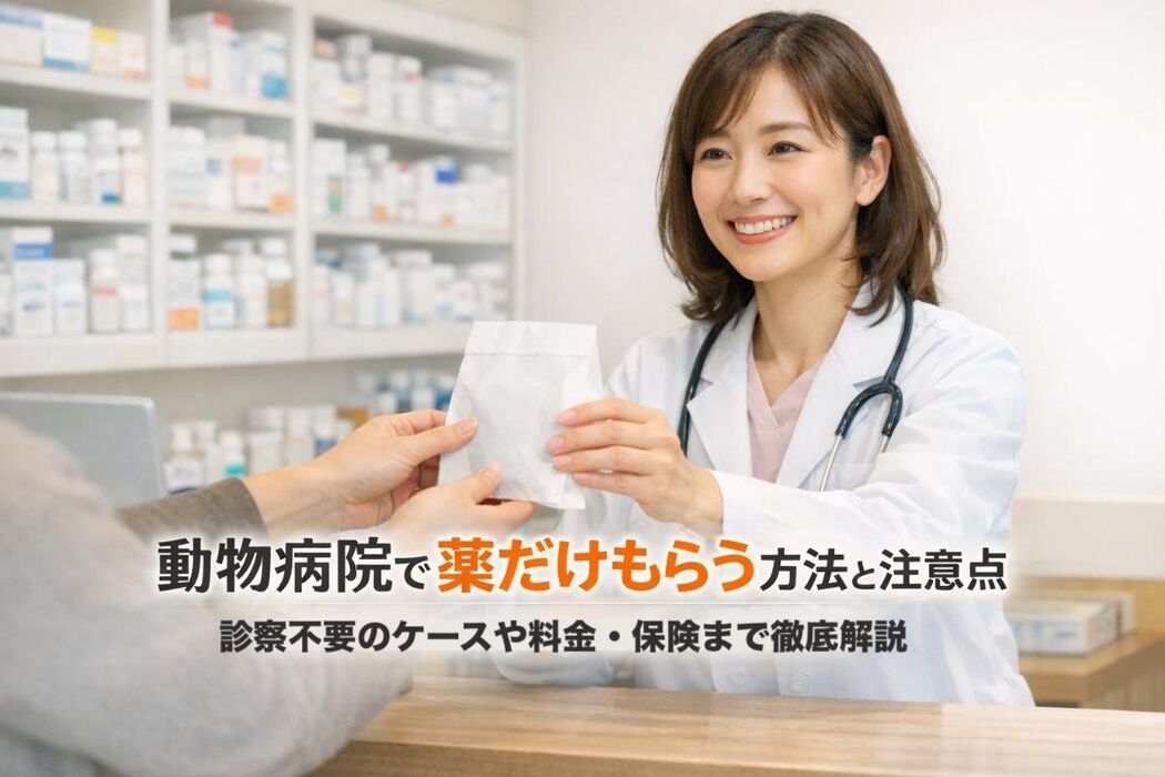 画像3471
