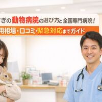画像3488