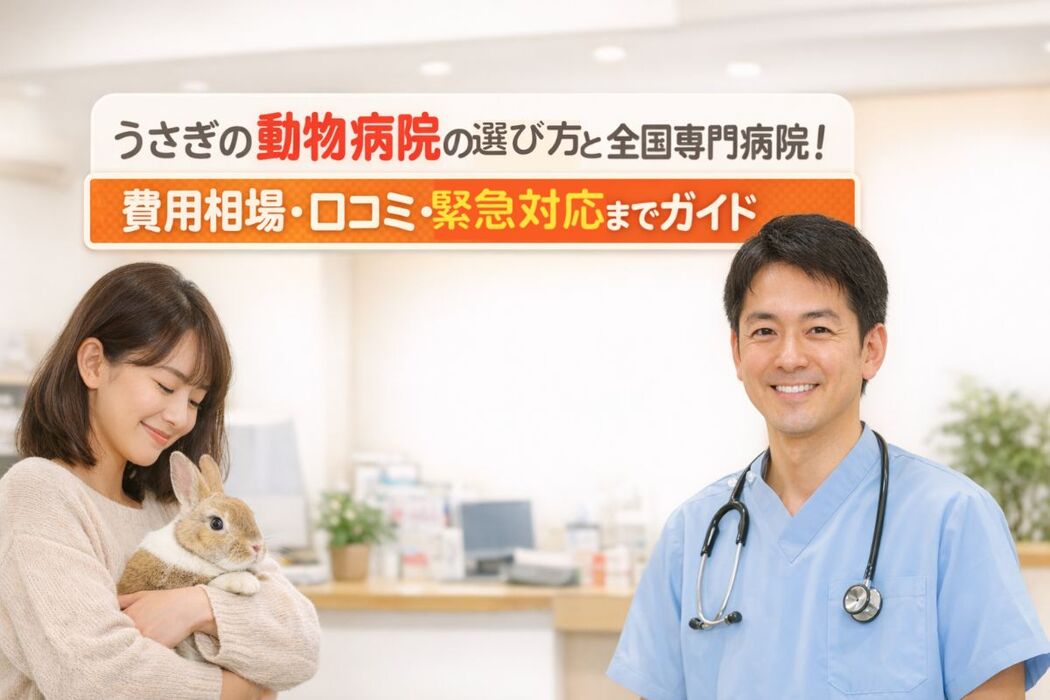 画像3488
