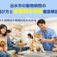 画像3506