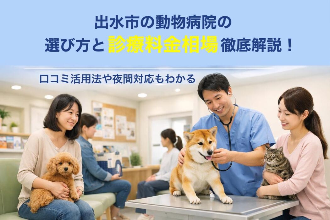 画像3506