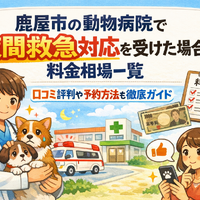 画像3527