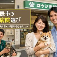 画像3552