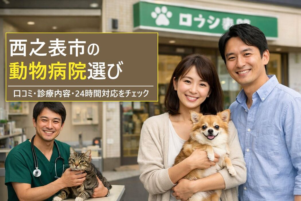 画像3552