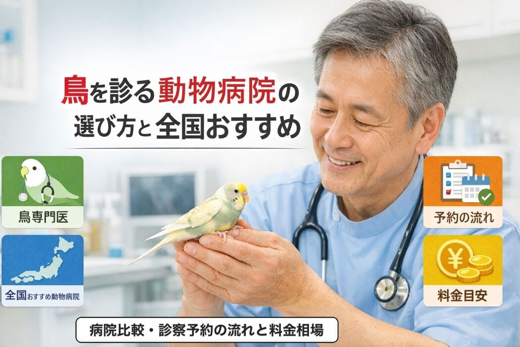 画像3579