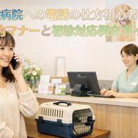 画像3733