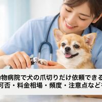 画像3744