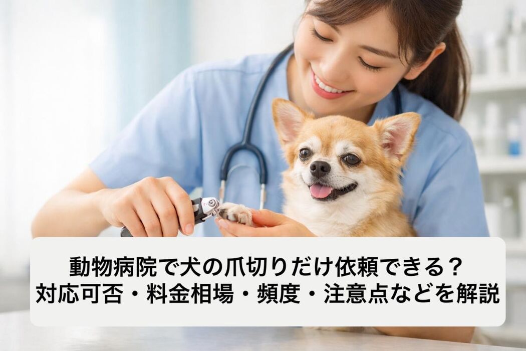 画像3744