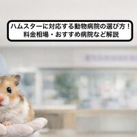 画像3757