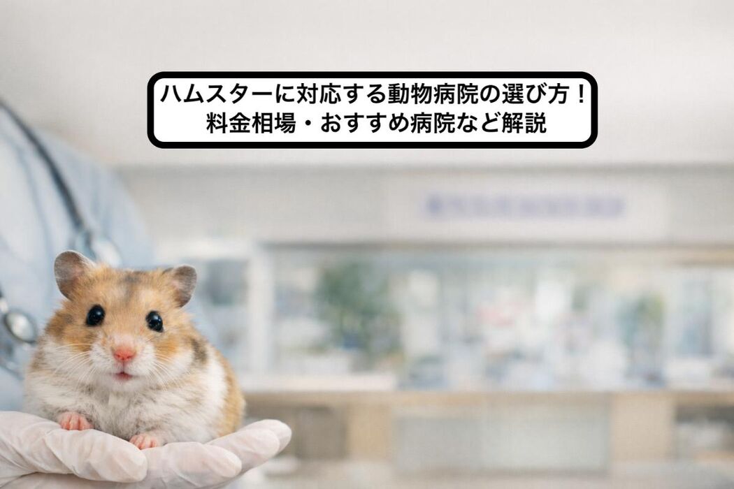 画像3757