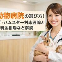 画像3772