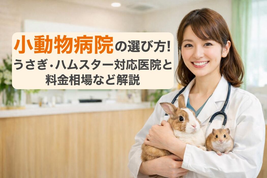 画像3772