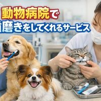 画像3868